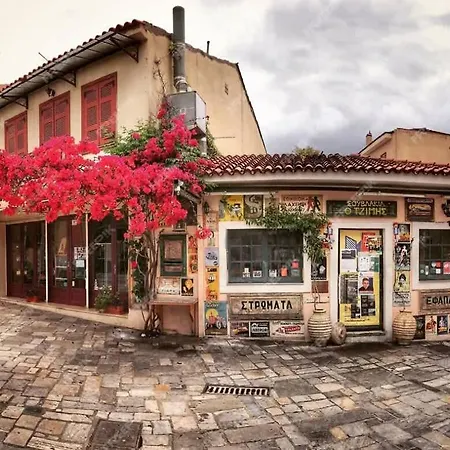 Elena's Cozy & Nest *