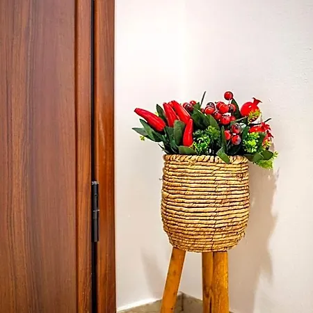 Inn Elena's Cozy & Nest