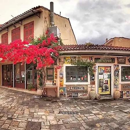 Elena's Cozy & Nest *